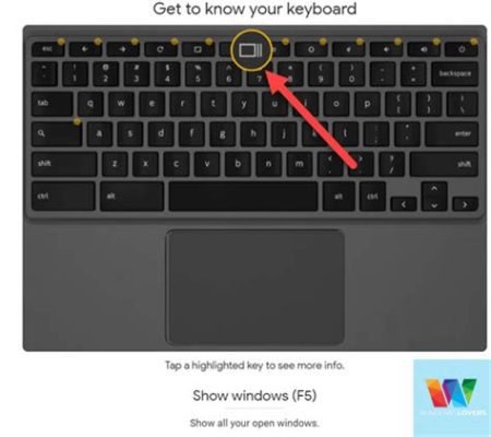 What Does the Show Windows Key Look Like on a Chromebook? And Why Does It Feel Like a Portal to Another Dimension?